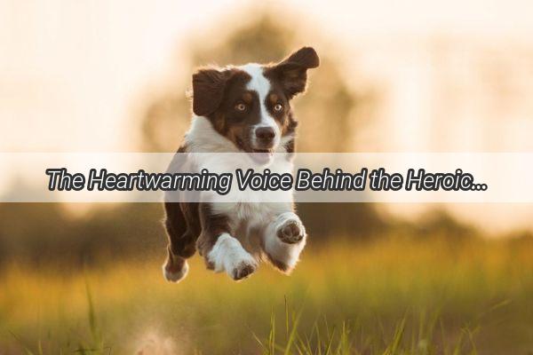 The Heartwarming Voice Behind the Heroic Canine Meet the Voice Actor of the Rescue Dog